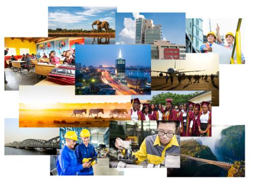 Development Collage